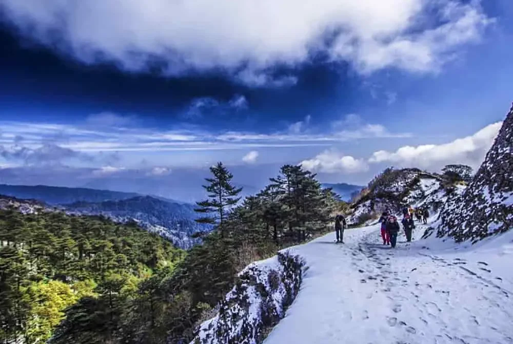 Sandakphu Trek:A Journey to the Highest Peak of West Bengal 